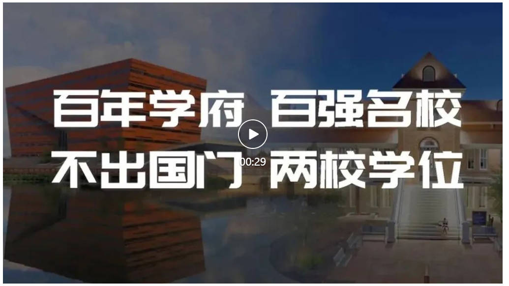 娱乐城