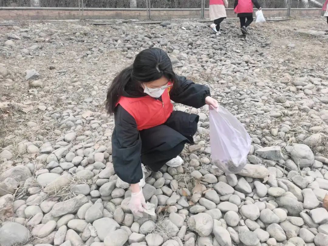 娱乐城
